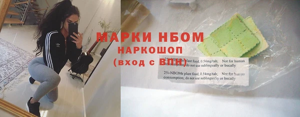 твердый Сатка
