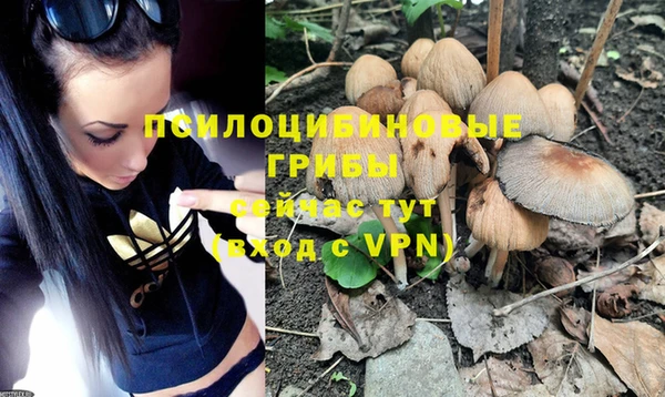 кокс Ростов