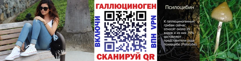 даркнет сайт  Кизляр  Псилоцибиновые грибы GOLDEN TEACHER 